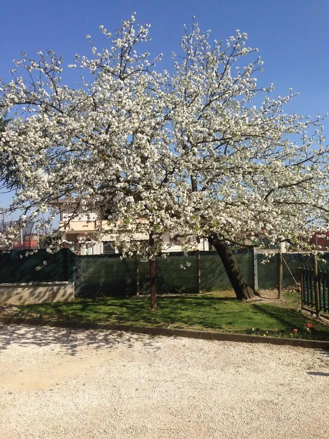 Ca' Marsari Apartment Sant'Angelo  Italy
