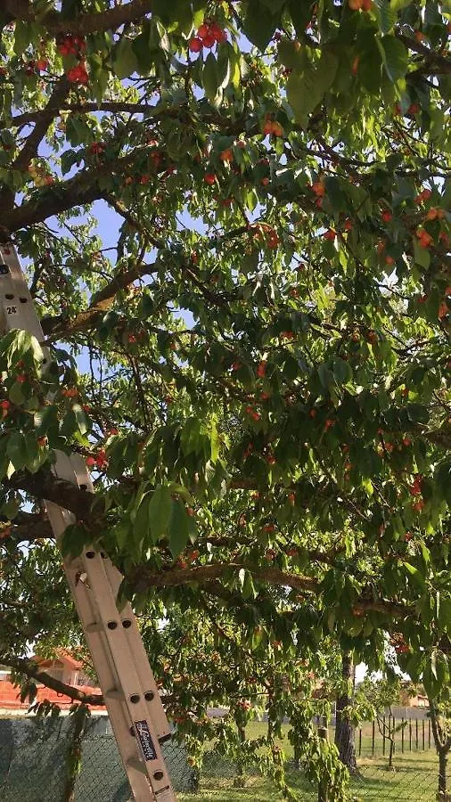 Appartamento Ca' Marsari SantʼAngelo