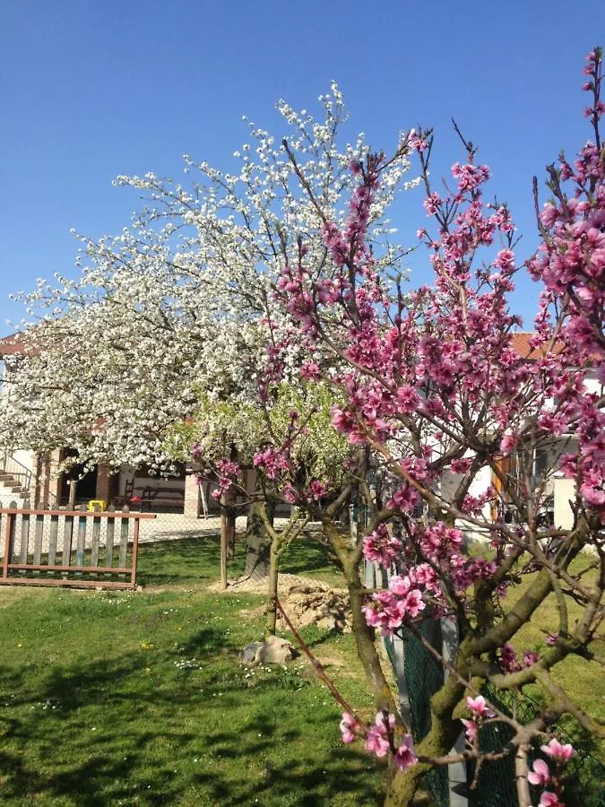 Ca' Marsari Apartment Sant'Angelo